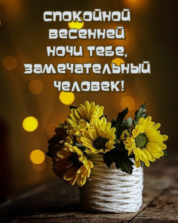 Спокойной весенней ночи тебе, замечательный человек!