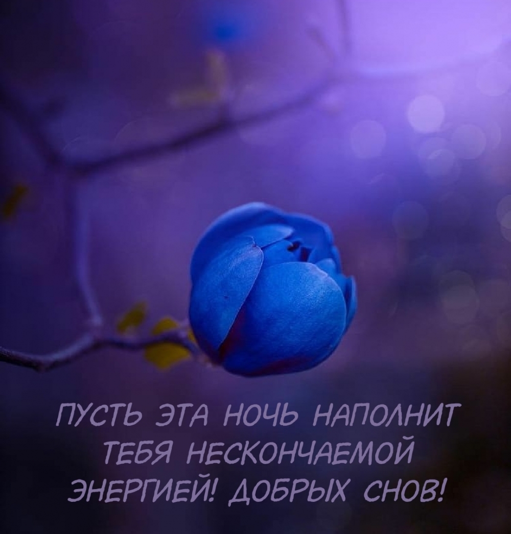 Пусть эта ночь наполнит тебя нескончаемой энергией! Добрых снов!