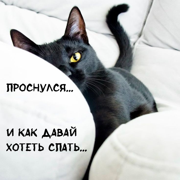   : ...     ...