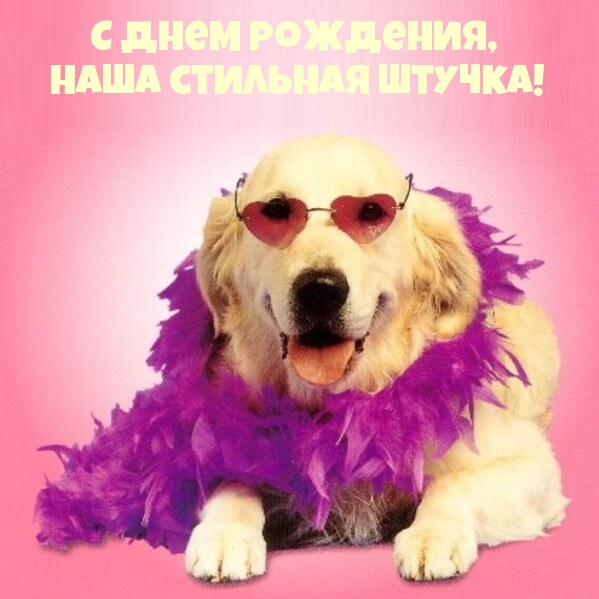   ,   !.