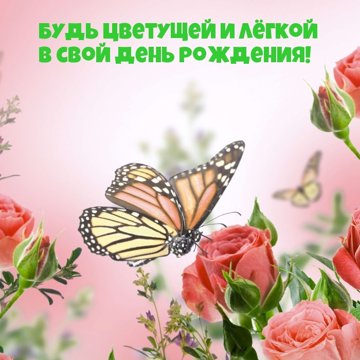        !.
