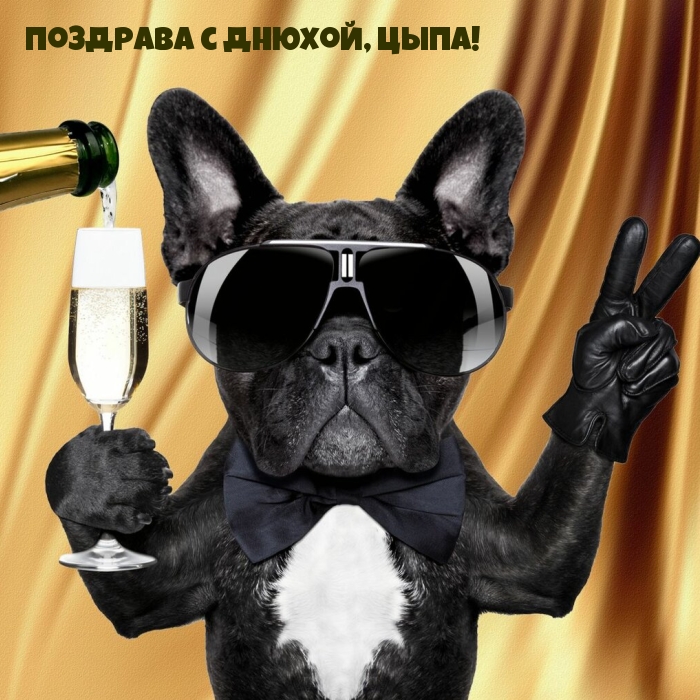 Поздрава с днюхой, Цыпа!.