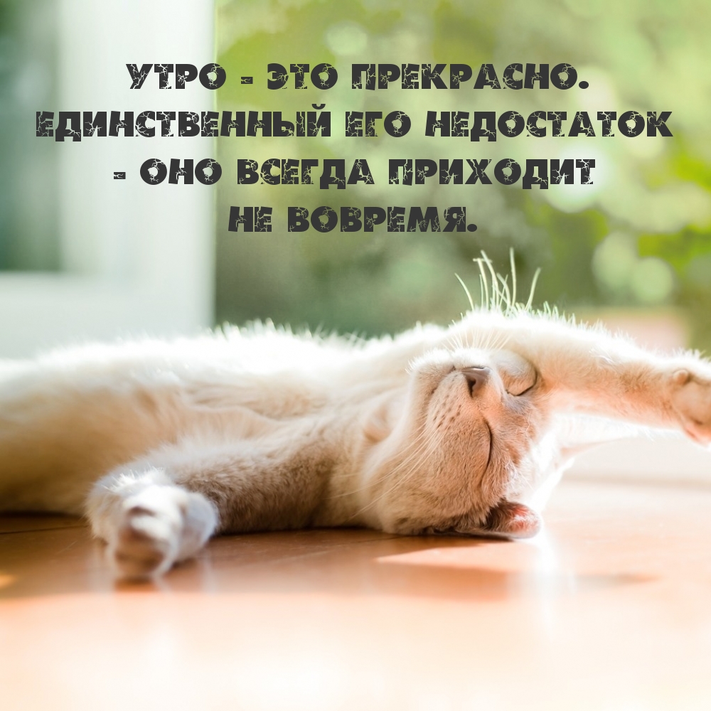   :  -  . 