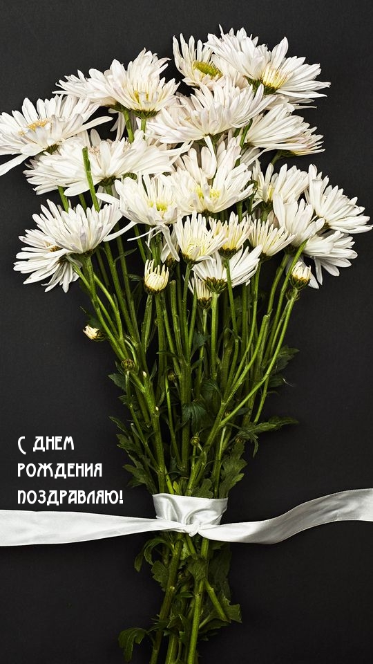С днем рождения поздравляю!.