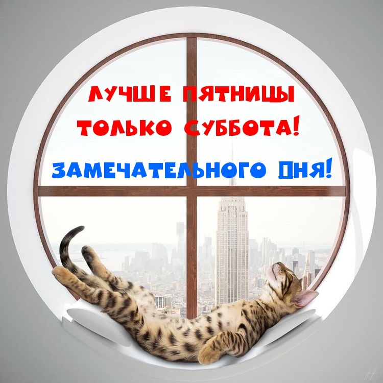   :  !