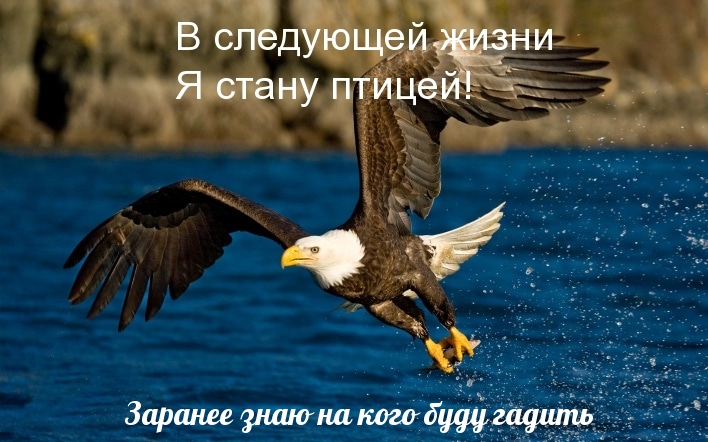      !.
