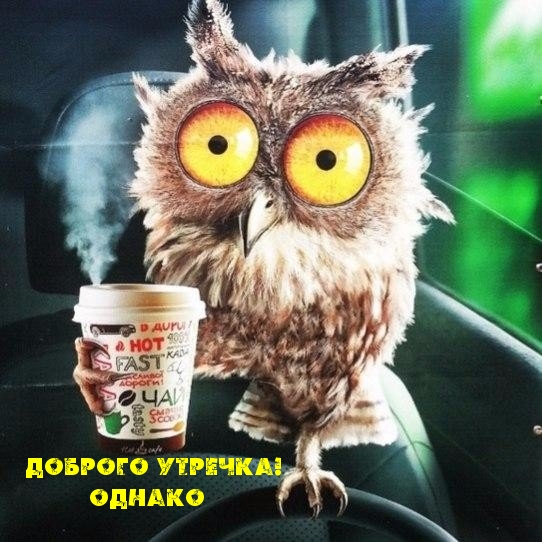 Доброго утречка! Однако.