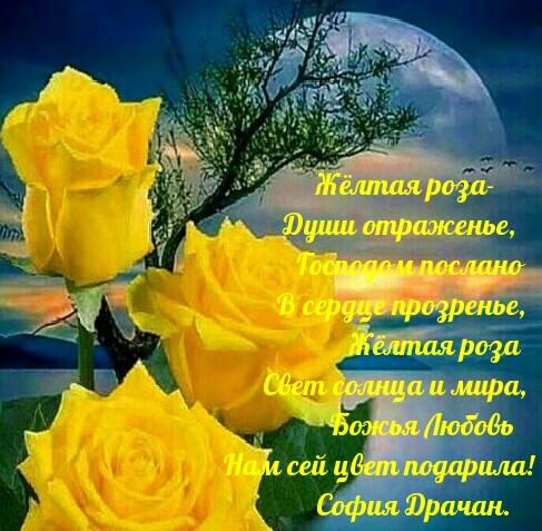 Жёлтая роза - души отраженье, Господом послано....