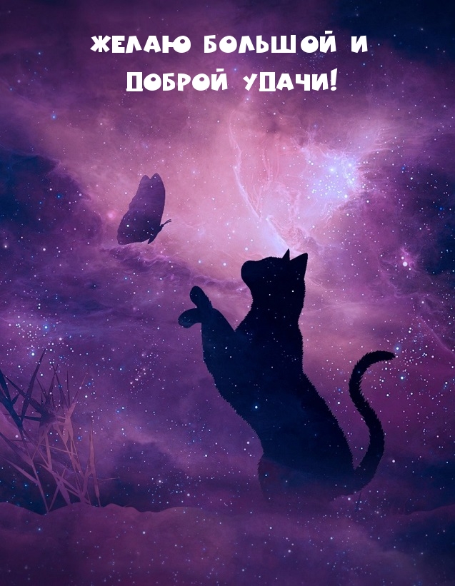 Желаю большой и доброй удачи!.
