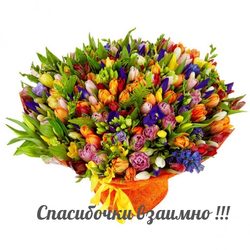 Спасибочки взаимно!.