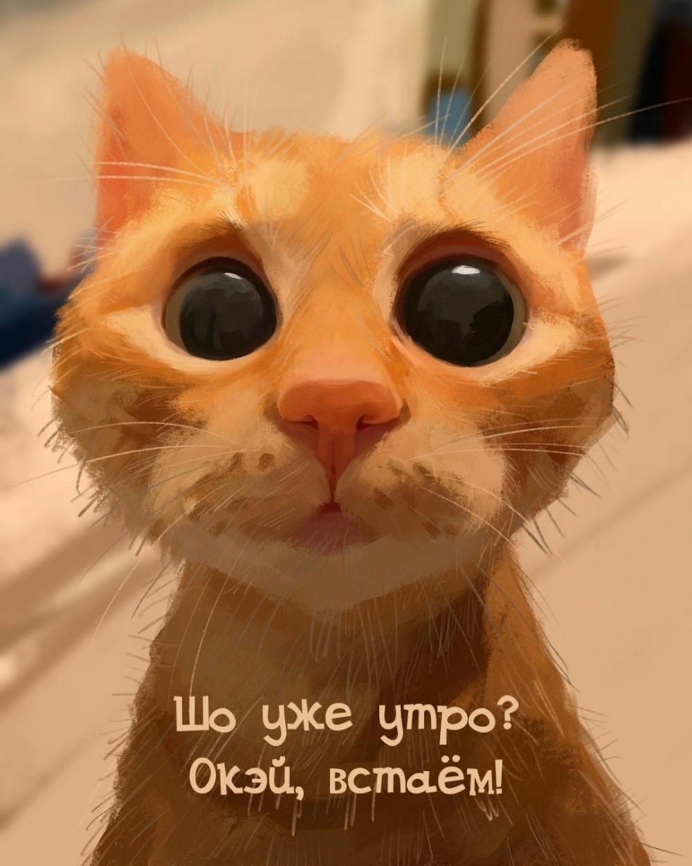   :   ? , !