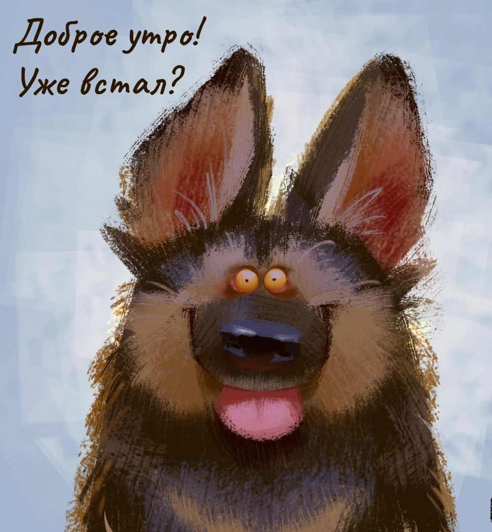   :  !  ?