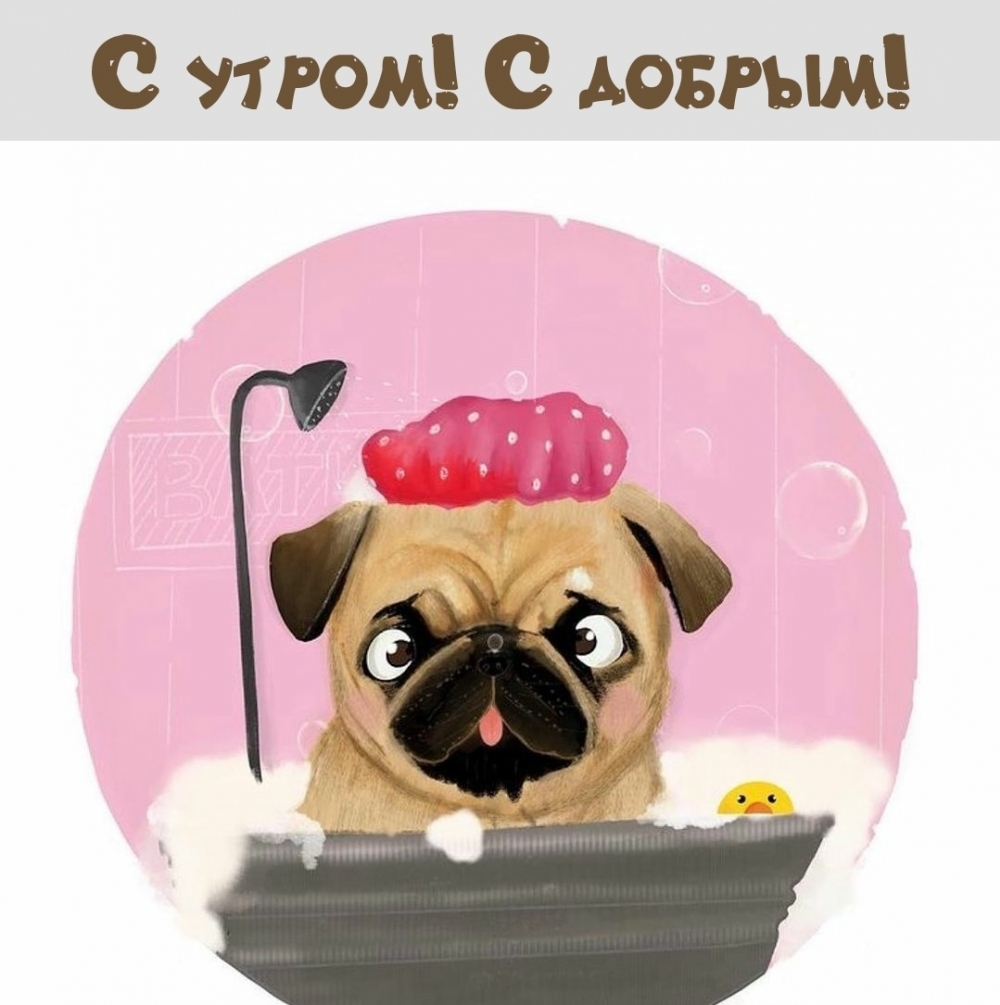 С утром! С добрым!