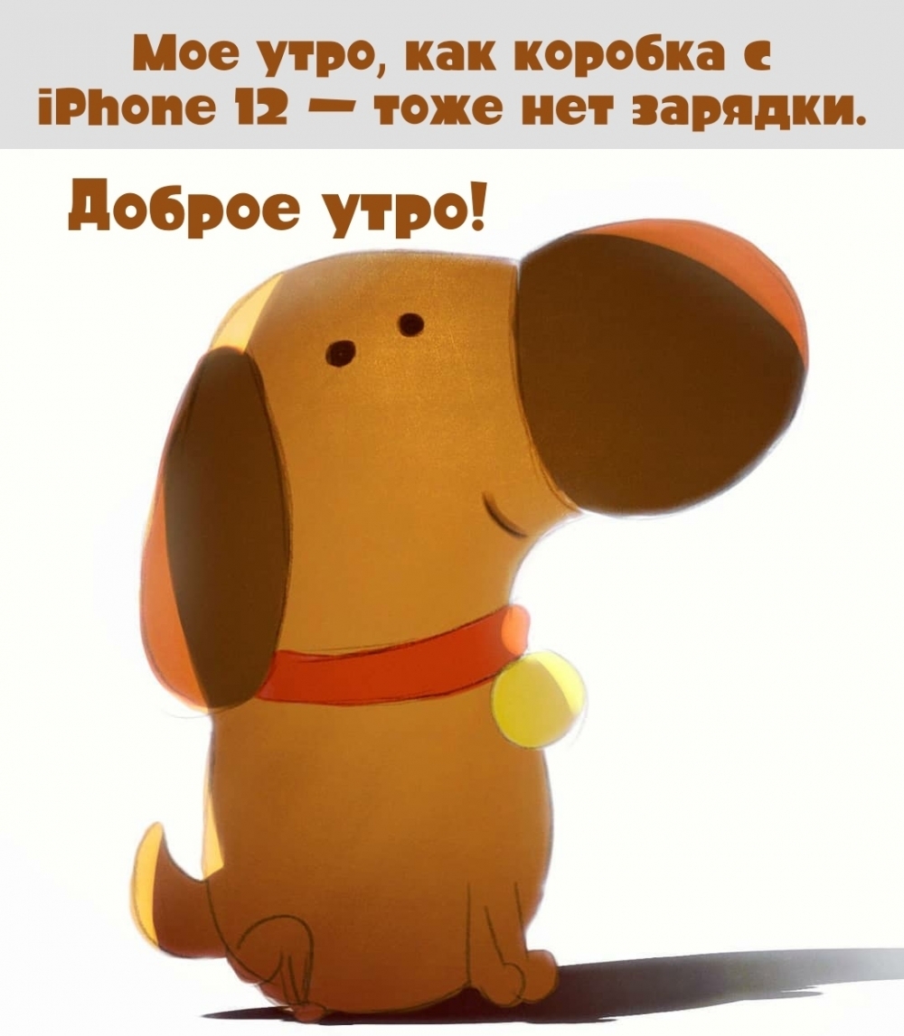  ,    iPhone 12    . 