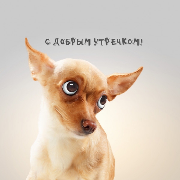   :   !