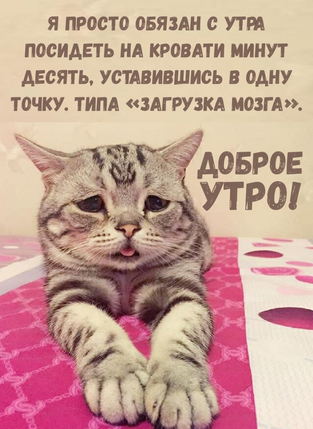 Доброе утро! Я просто обязан с утра посидеть на кровати