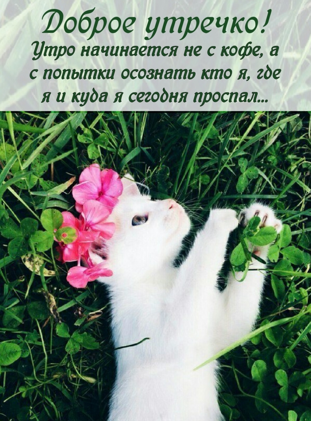  !       ,  