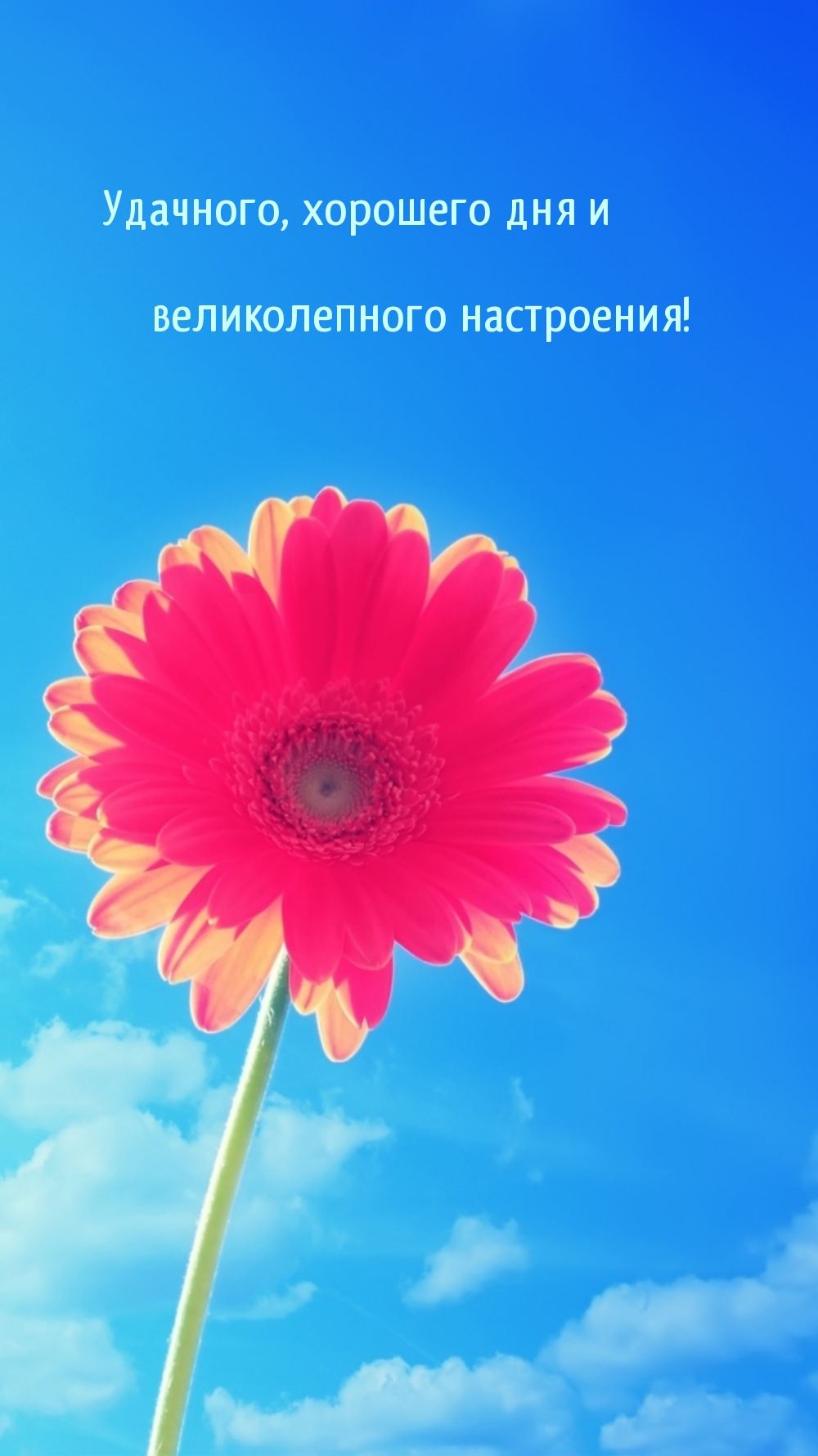 ,     !