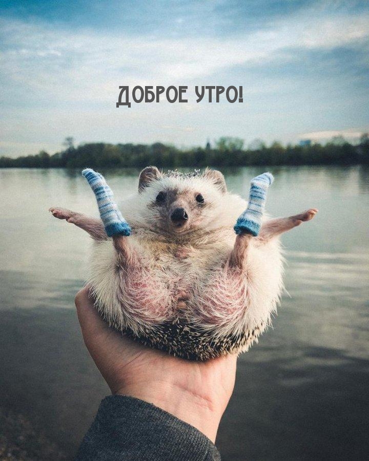  !.
