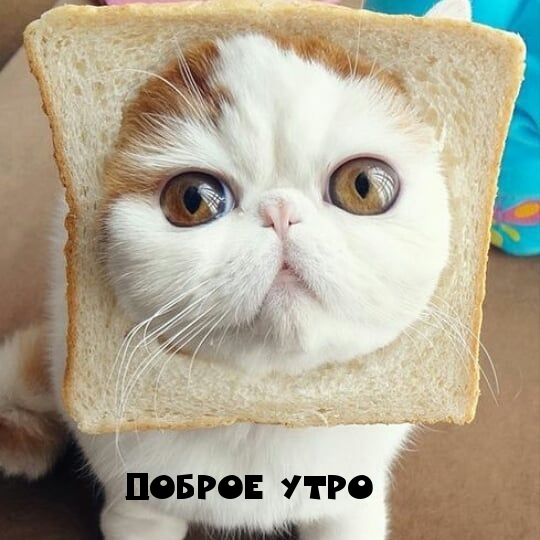   :  