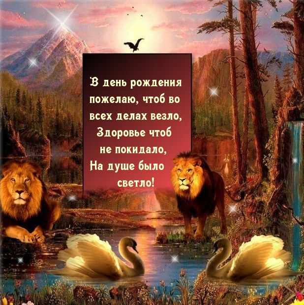   :    ,     