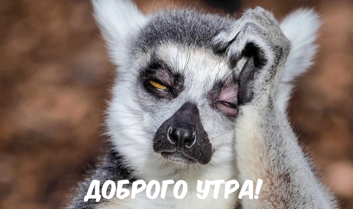 Доброго утра!.