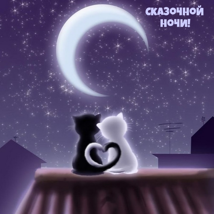 Сказочной ночи!.