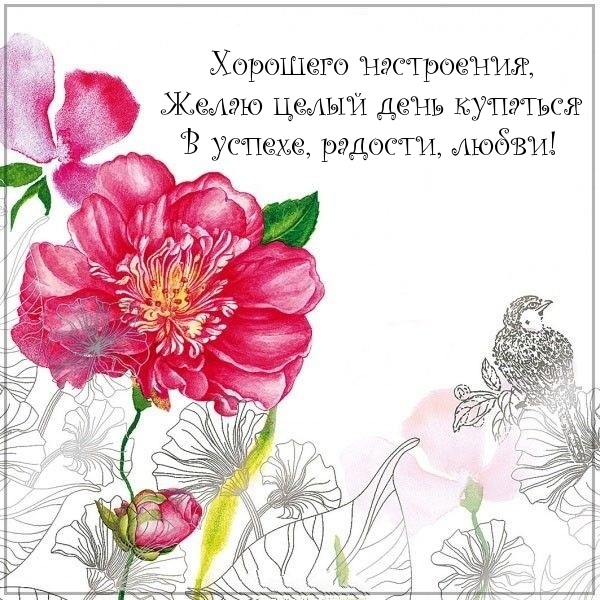 Хорошего настроения, желаю целый день....