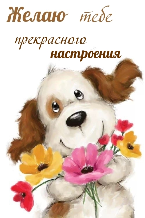   :    