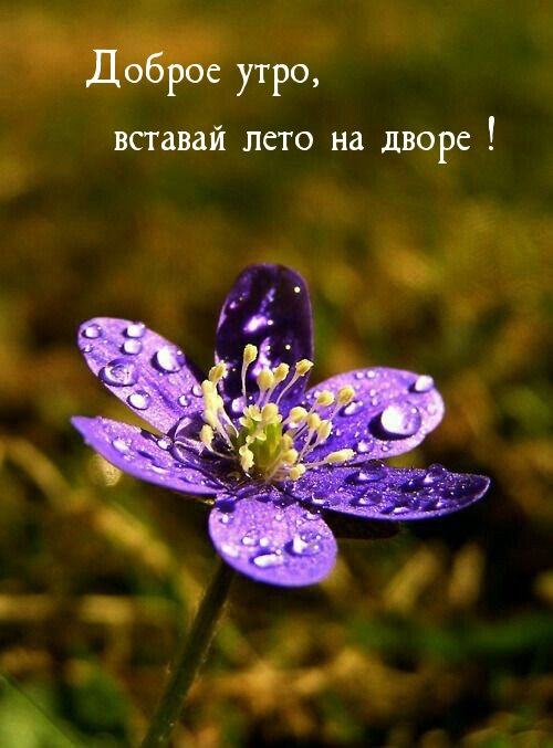   :  ,    !