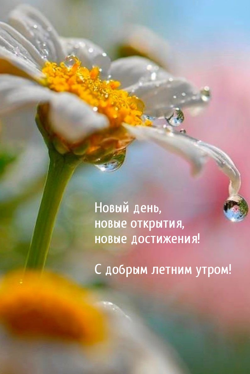 С добрым летним утром!