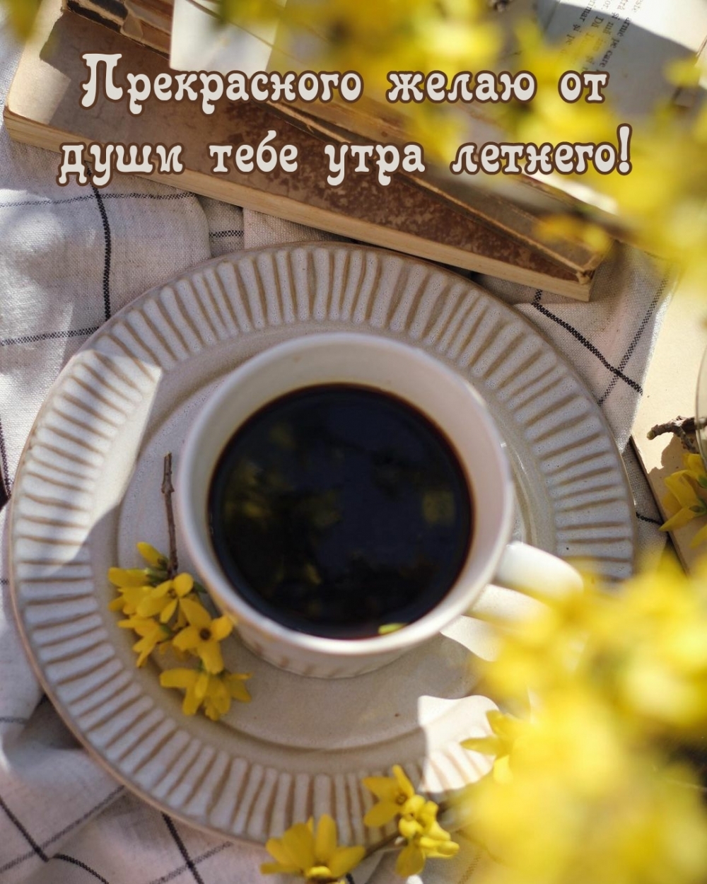 Прекрасного желаю от души тебе утра летнего!