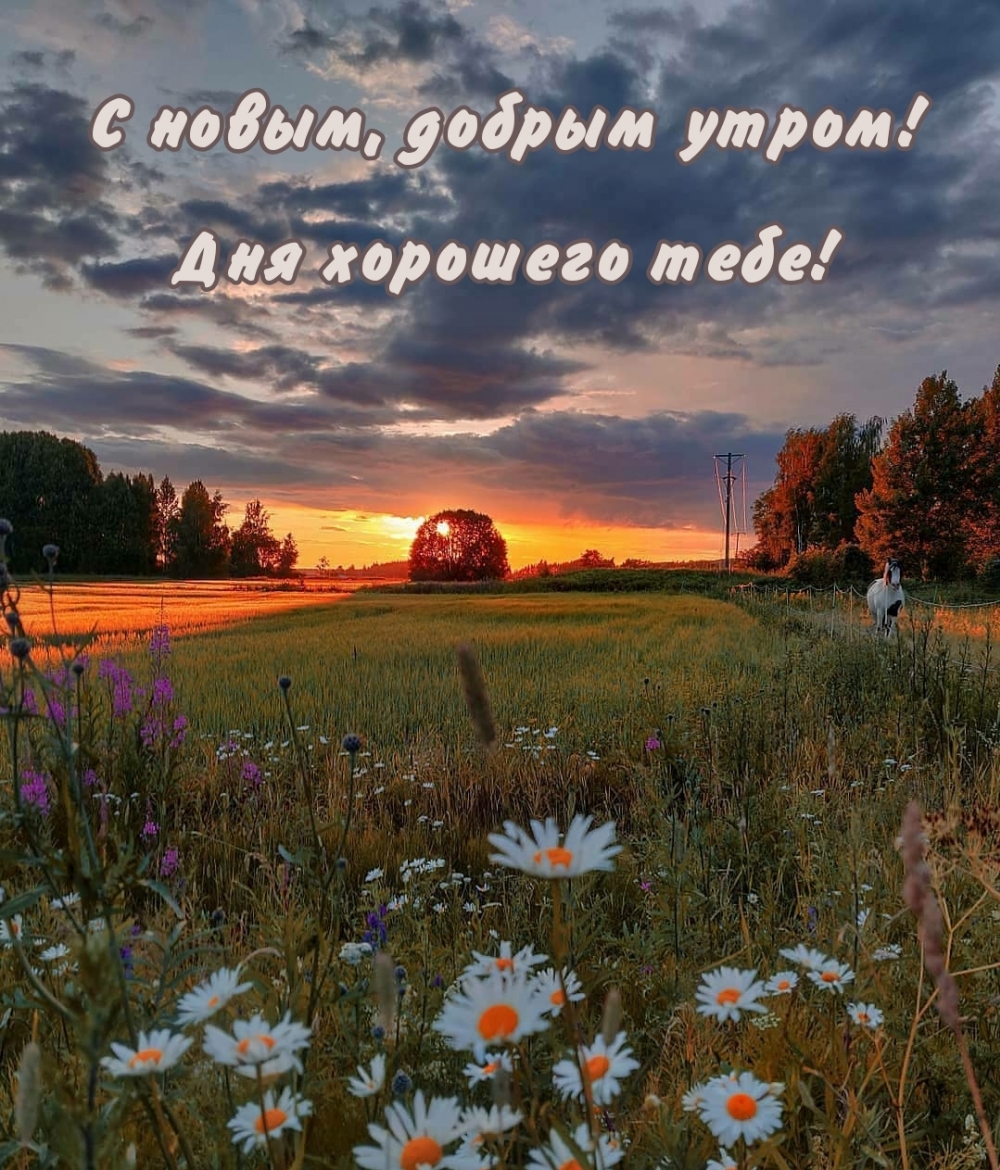  ,  !   !