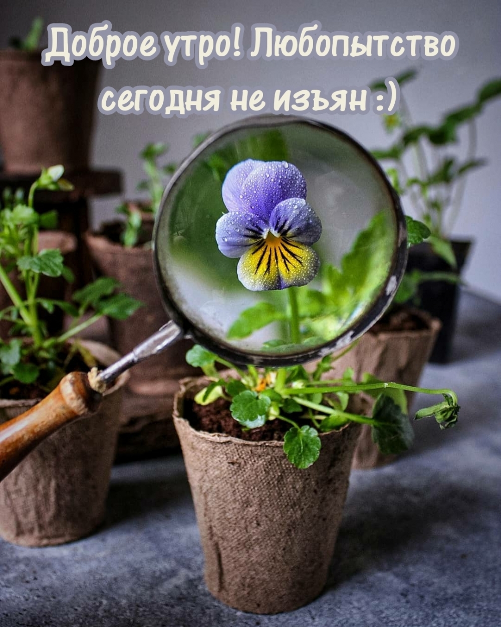   :  !     :)