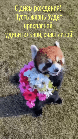   :   !    