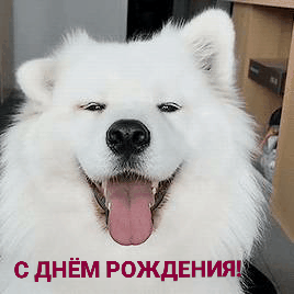   :  ͨ !   