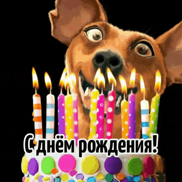   !.