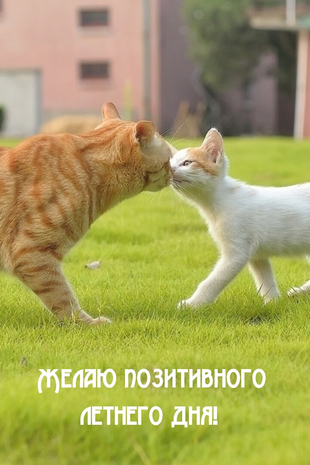    !.