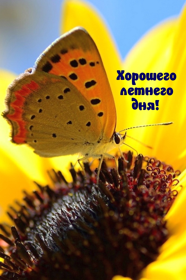   :   !