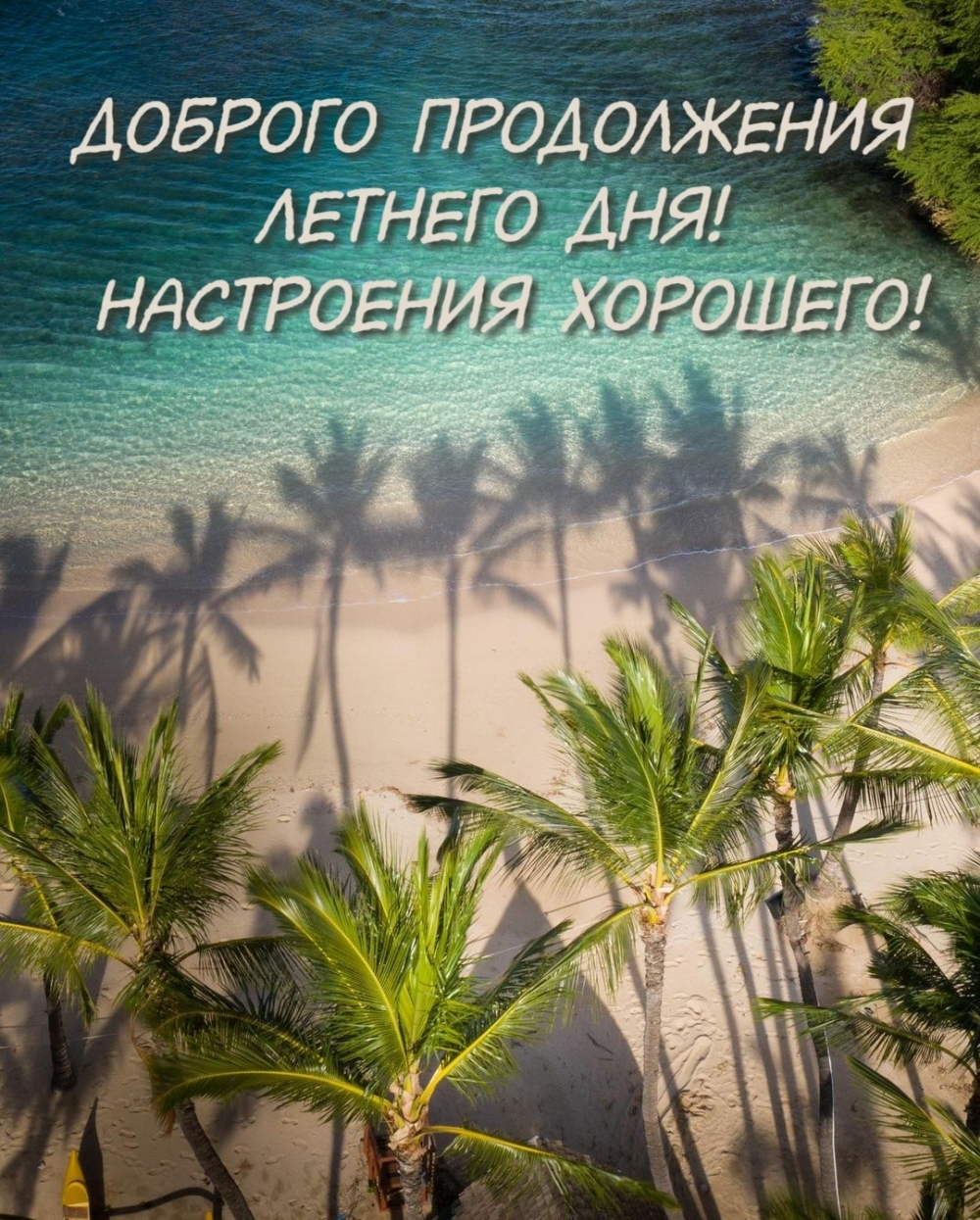    !  !