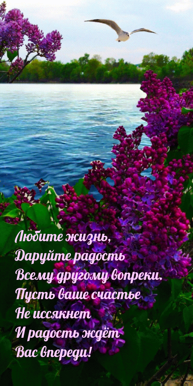  :  ,     .