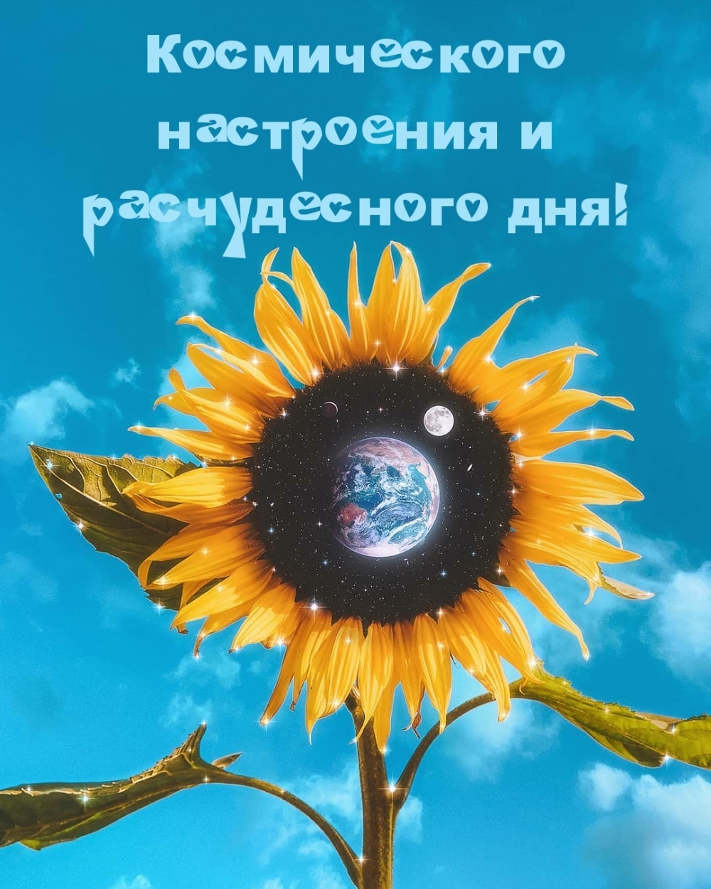     !