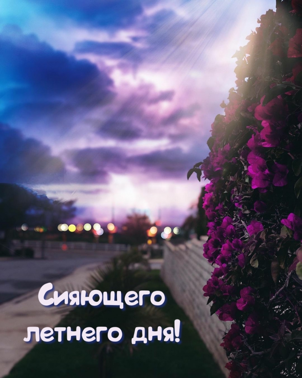   :   !