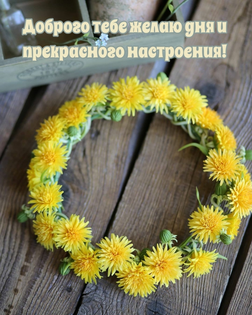   :       !