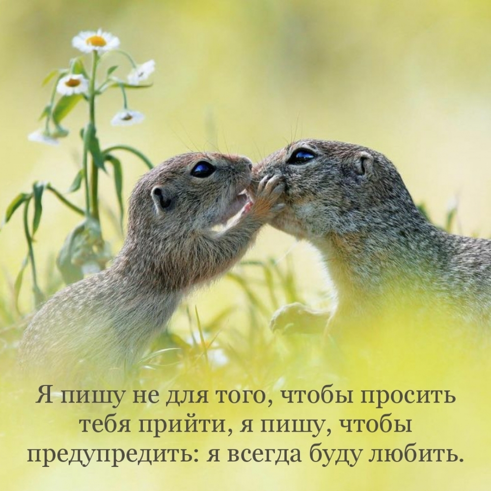 Я пишу не для того, чтобы просить тебя прийти