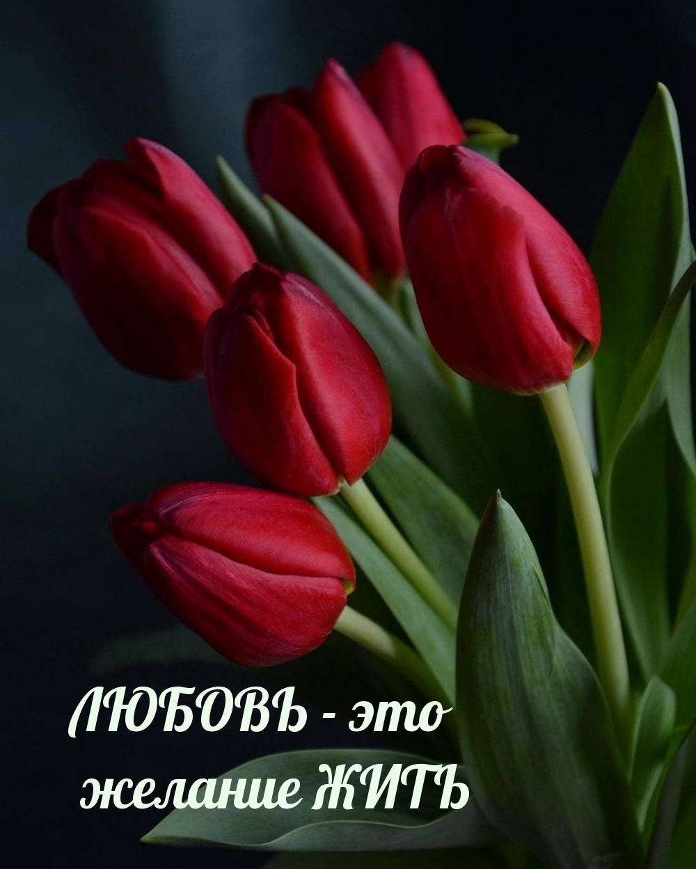 ЛЮБОВЬ - это желание ЖИТЬ