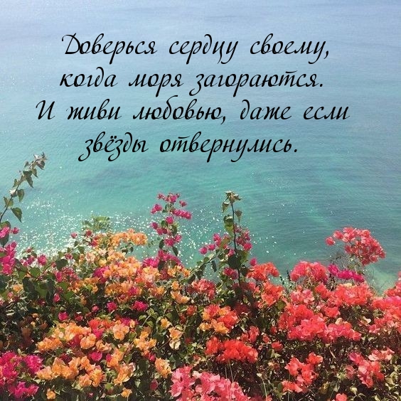 ,    ..