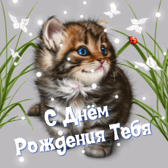   :    !