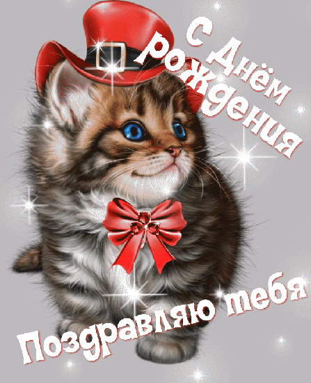 С днём рождения поздравляю тебя! От котика в шляпе.