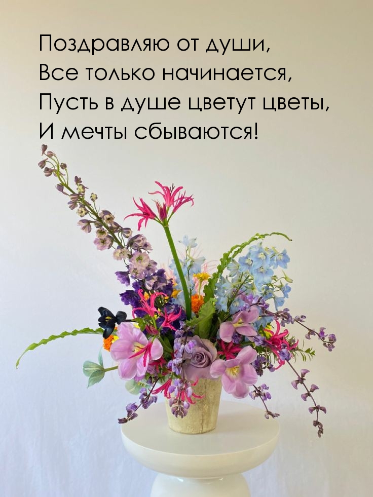   :   ,   